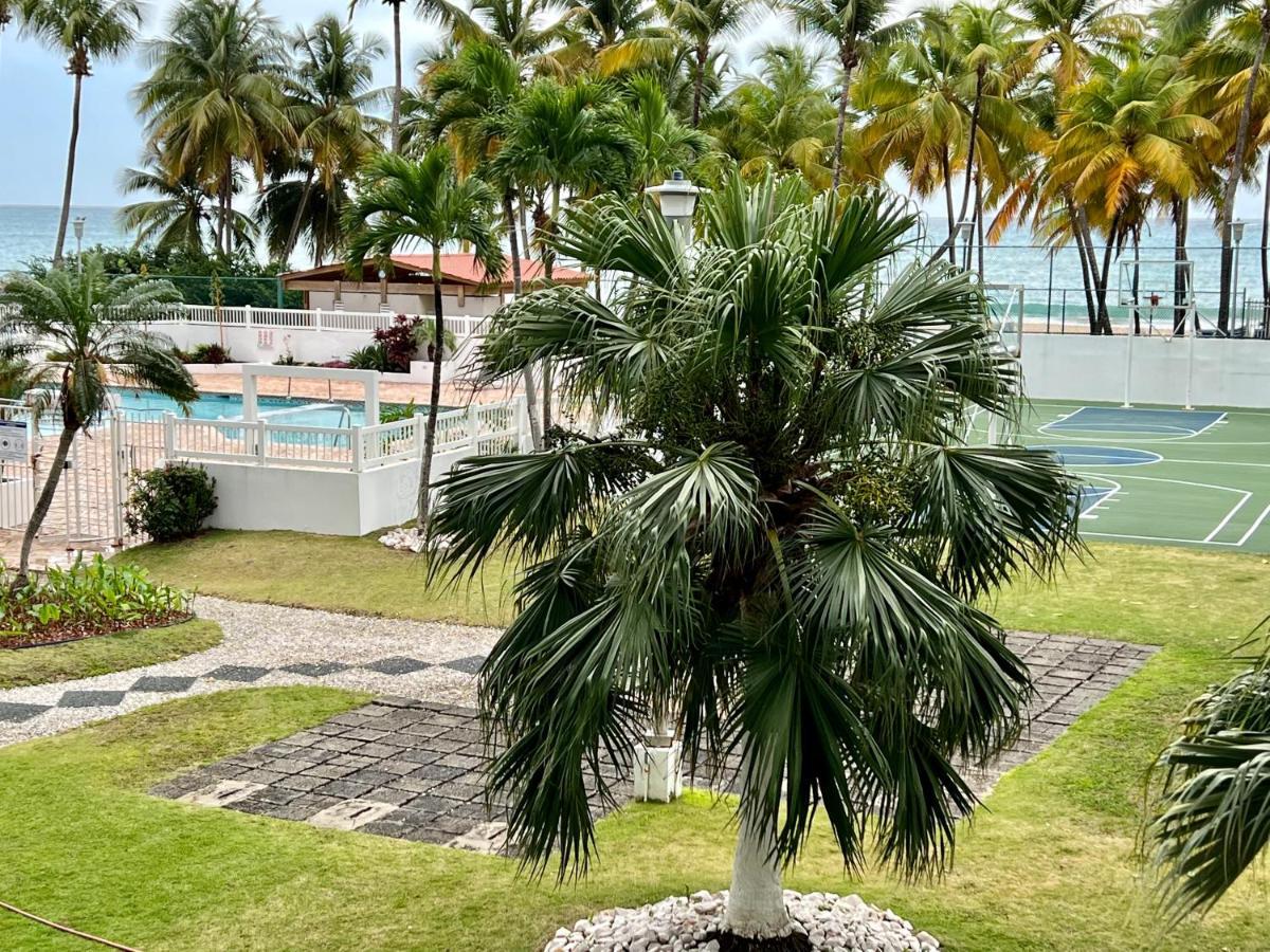Beachfront Tropical Tantra Apartment San Juan Zewnętrze zdjęcie